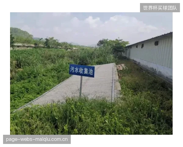 天河体育中心启动近零碳改造，旨在为第十五届全运会树立绿色标杆